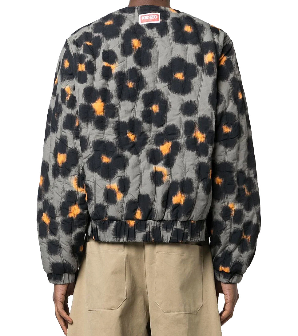 Leopard bomber